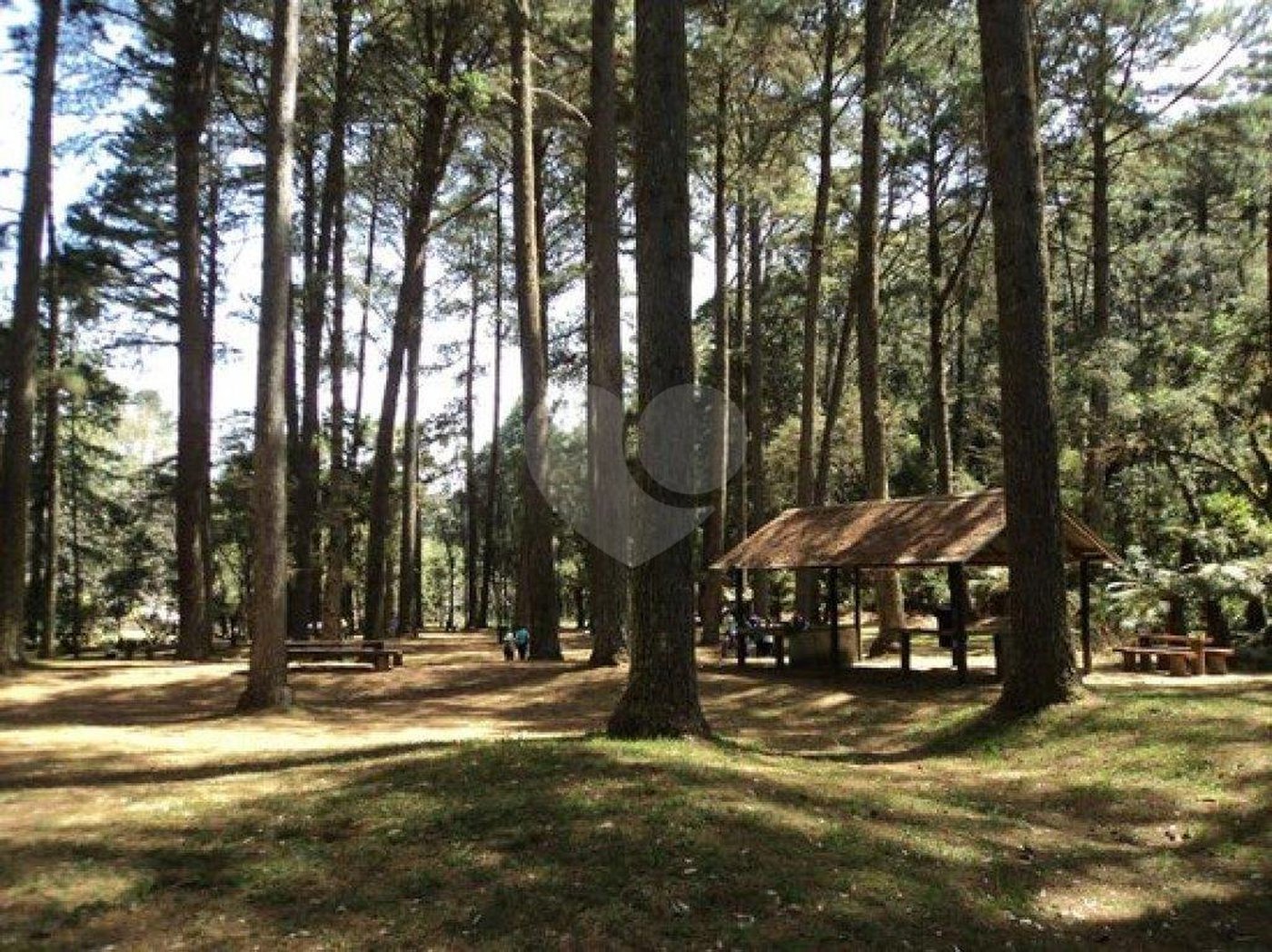 Terreno à venda em Horto Florestal, São Paulo, SP