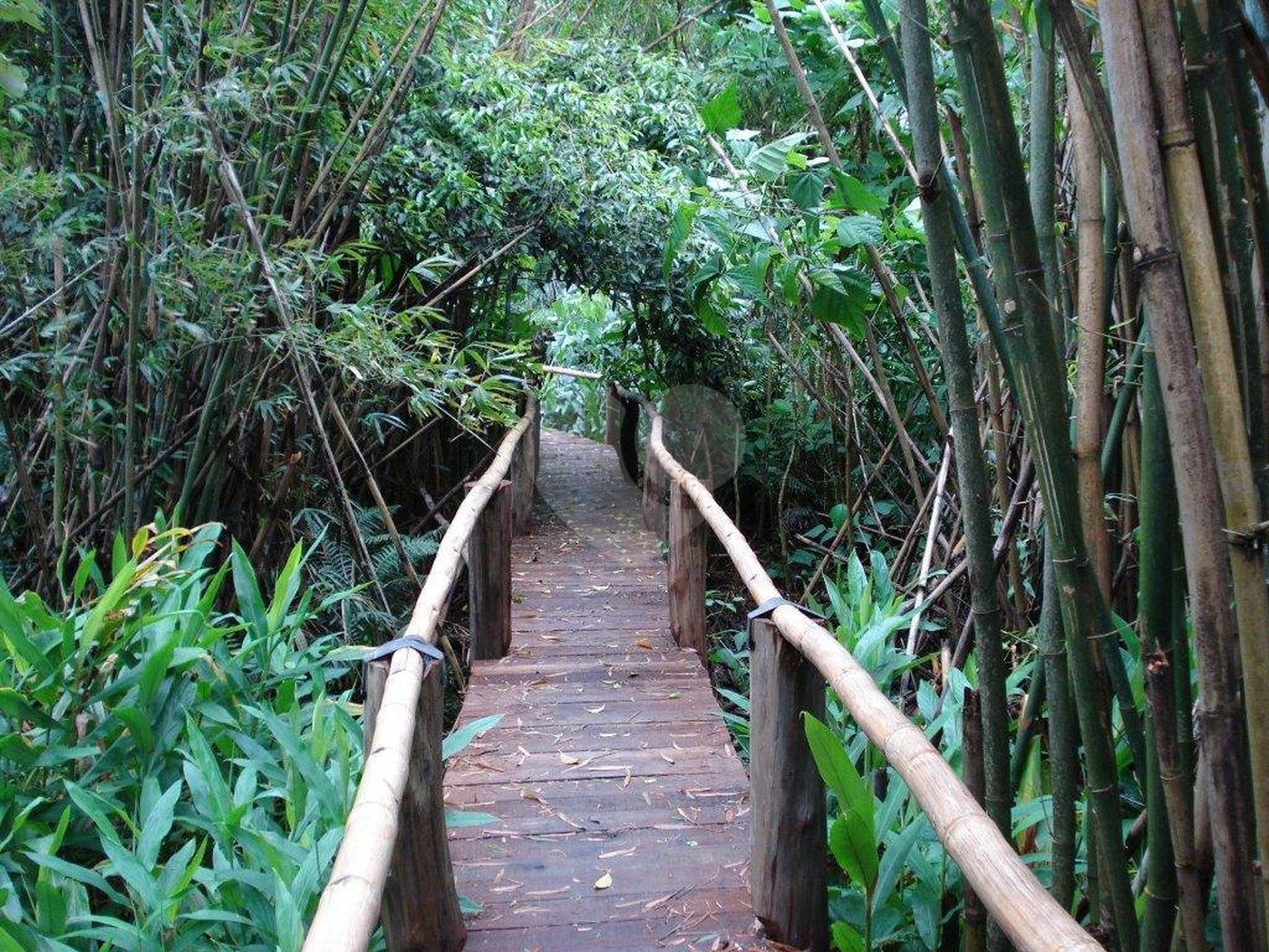 Terreno à venda em Horto Florestal, São Paulo, SP