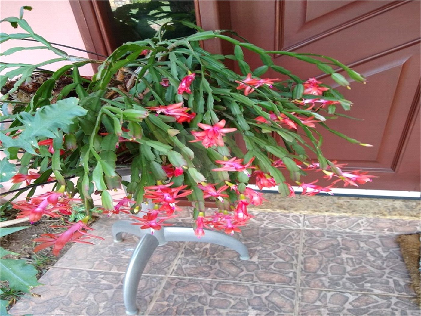 Chácara à venda com 4 suítes em Vale das Laranjeiras, Indaiatuba, SP