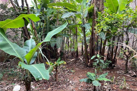 Terreno à venda em Santana, São Paulo, SP