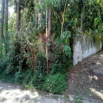 Terreno à venda em Serra da Cantareira, Mairiporã, SP