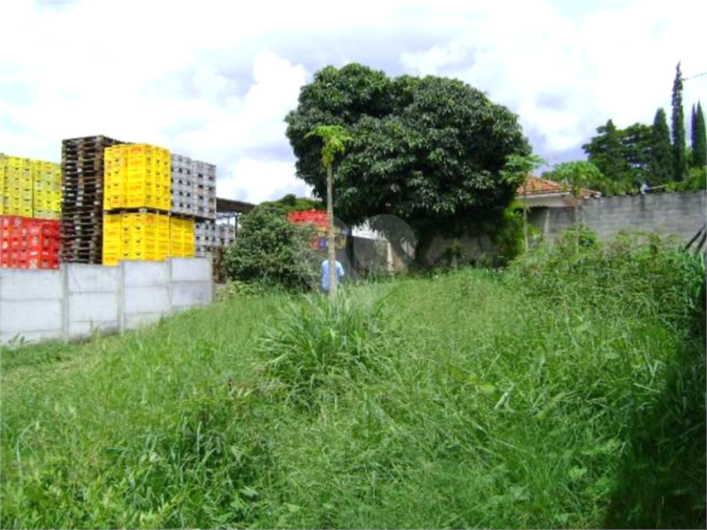 Terreno à venda em Vila Flórida, Guarulhos, SP