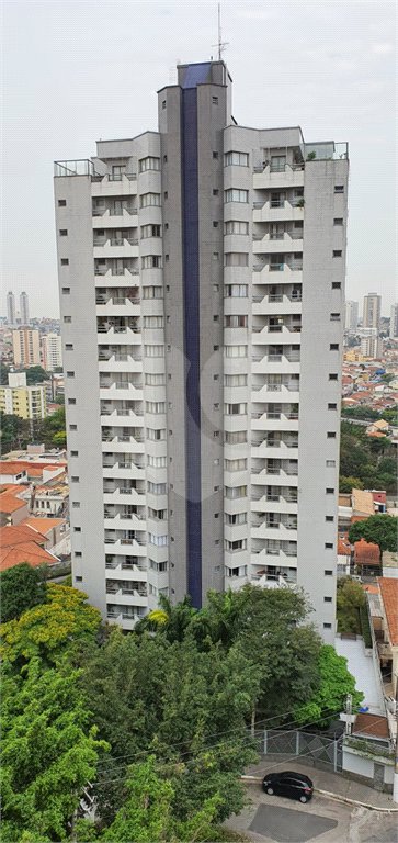 Apartamento à venda com 3 quartos, sendo 1 suíte, em Vila Paulicéia, São Paulo, SP