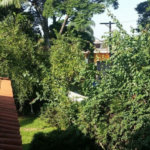 Casa à venda com 3 quartos, sendo 1 suíte, em Butantã, São Paulo, SP
