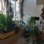 Sobrado à venda com 2 quartos em Horto, São Paulo, SP