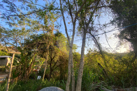 Terreno à venda em Albatroz, Armação dos Búzios, RJ