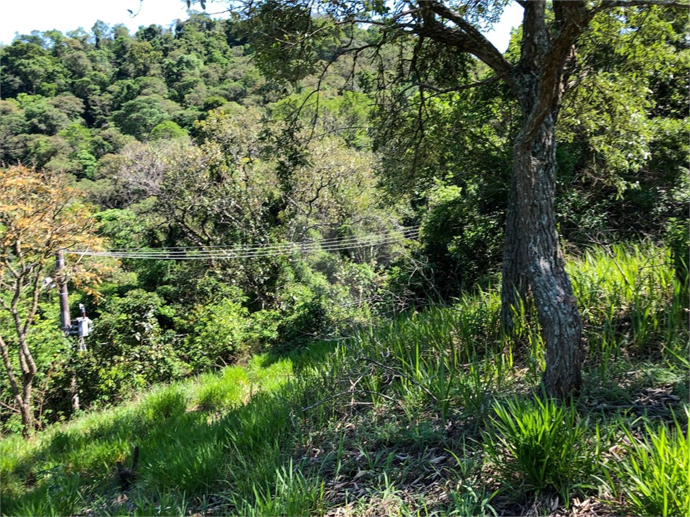 Terreno à venda em Bairro do Cambará, São Roque, SP