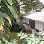 Sobrado à venda com 3 quartos, sendo 1 suíte, em Vila Albertina, São Paulo, SP