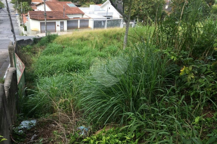 Terreno à venda em Tremembé, São Paulo, SP