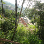 Terreno à venda em Tucuruvi, São Paulo, SP