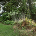 Terreno à venda no condomínio Parque Imperial da Cantareira, Mairiporã - SP