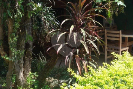Sobrado à venda com 3 quartos, sendo 1 suíte, em Santa Teresinha, São Paulo, SP