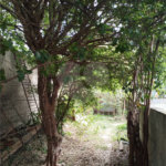 Terreno à venda em Tucuruvi, São Paulo, SP