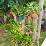 Casa à venda com 3 suítes no condomínio Village Ipanema 1, Araçoiaba da Serra - SP