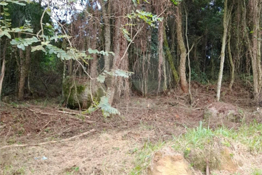 Loteamento à venda em Serra da Cantareira, São Paulo, SP