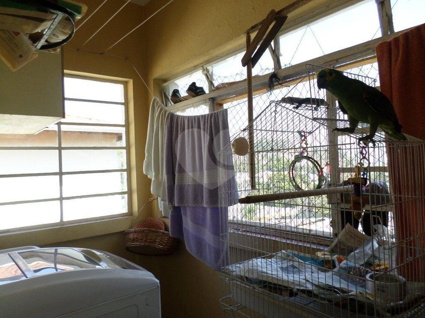 Sobrado à venda com 6 quartos em Jardim Floresta, São Paulo, SP