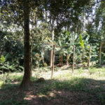 Chácara à venda com 8 quartos em Parque Piratininga, Itaquaquecetuba, SP
