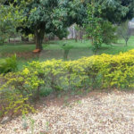 Excelente sítio, localizado no Jardim Tangará