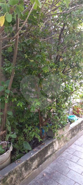Casa à venda com 3 quartos, sendo 1 suíte, em Pirituba, São Paulo, SP