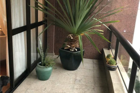 Apartamento à venda com 4 quartos, sendo 3 suítes, em Vila Suzana, São Paulo, SP