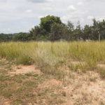 Chácara à venda com 4 quartos, sendo 1 suíte, em Vista Alegre, Vinhedo, SP