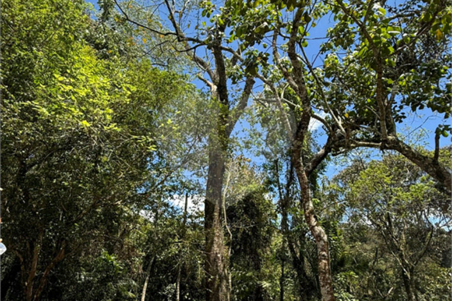 Terreno à venda no condomínio Alpes da Cantareira, Mairiporã - SP