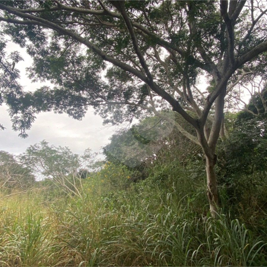 Terreno à venda em Ferradura, Armação dos Búzios, RJ