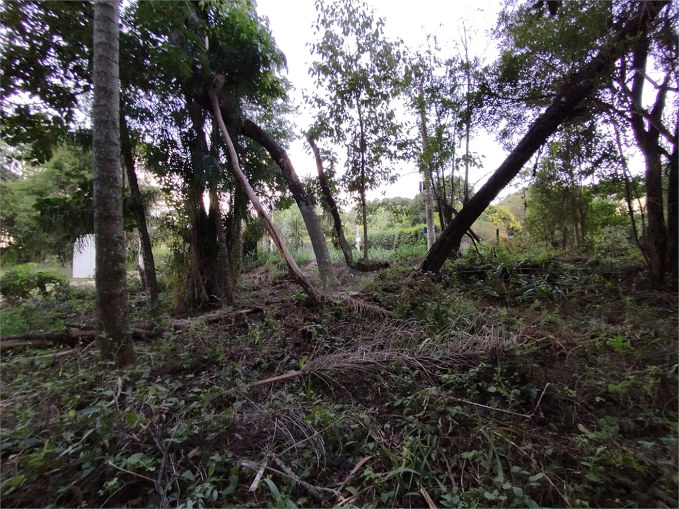 Terreno à venda em Chácaras do Guacuri, Itupeva, SP