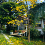 Casa Térrea à venda com 4 quartos, sendo 1 suíte, em Roseira, Mairiporã, SP