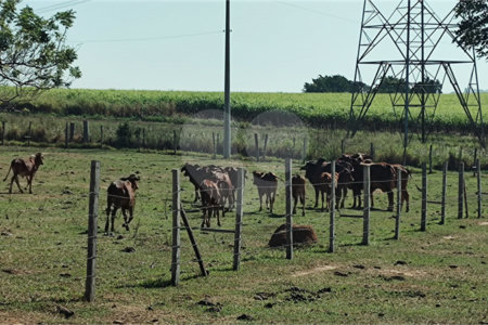 Sítio à venda com 2 suítes em Buru, Salto, SP