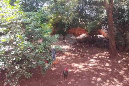 Casa à venda com 3 quartos em Jardim Santa Lúcia, Araraquara, SP