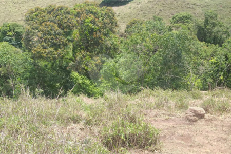 Sítio à venda no Centro, Monte Sião, MG
