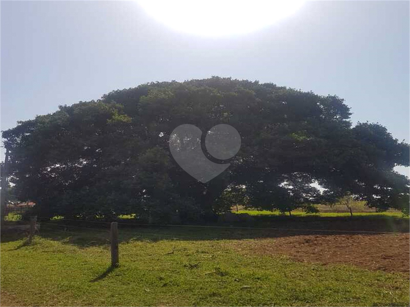 Fazenda à venda com 2 quartos em Canabrava, João Pinheiro, MG