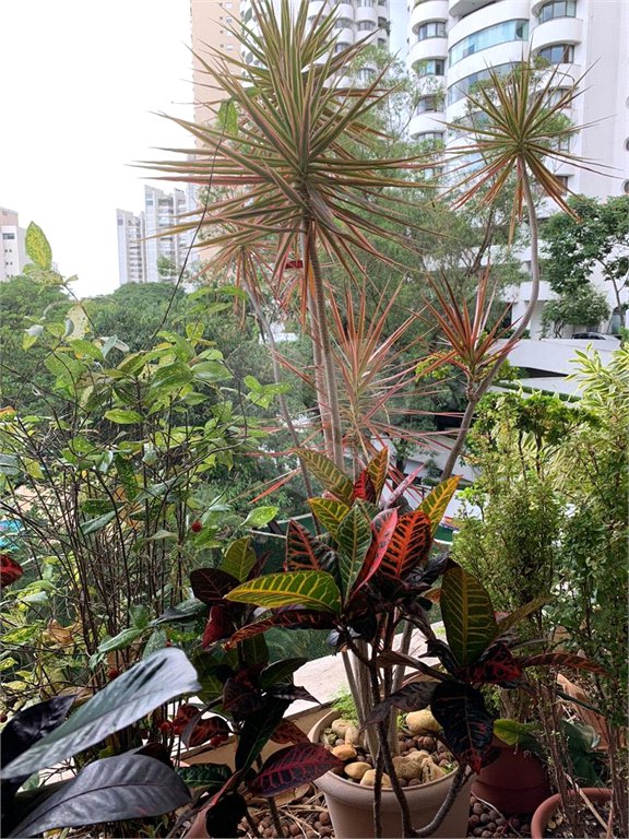 Apartamento à venda com 4 quartos, sendo 2 suítes, em Real Parque, São Paulo, SP