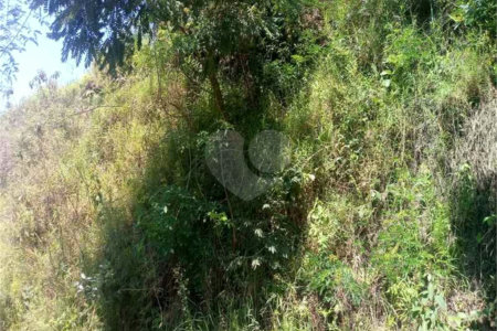 Terreno à venda em Vila São Paulo, Mogi das Cruzes, SP