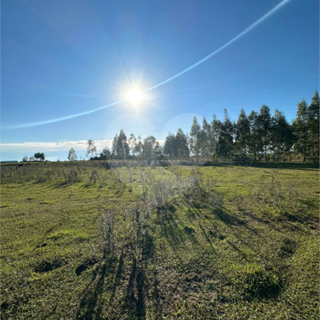 Terreno à venda em Sanga Puita, Ponta Porã, MS