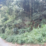 Terreno à venda no condomínio Sausalito, Mairiporã - SP