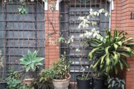 Casa à venda com 3 quartos, sendo 1 suíte, em Rio Pequeno, São Paulo, SP