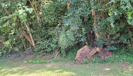 Terreno à venda em Serra da Cantareira, Mairiporã, SP