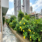 Apartamento à venda com 3 quartos, sendo 1 suíte, em Ipiranga, São Paulo, SP