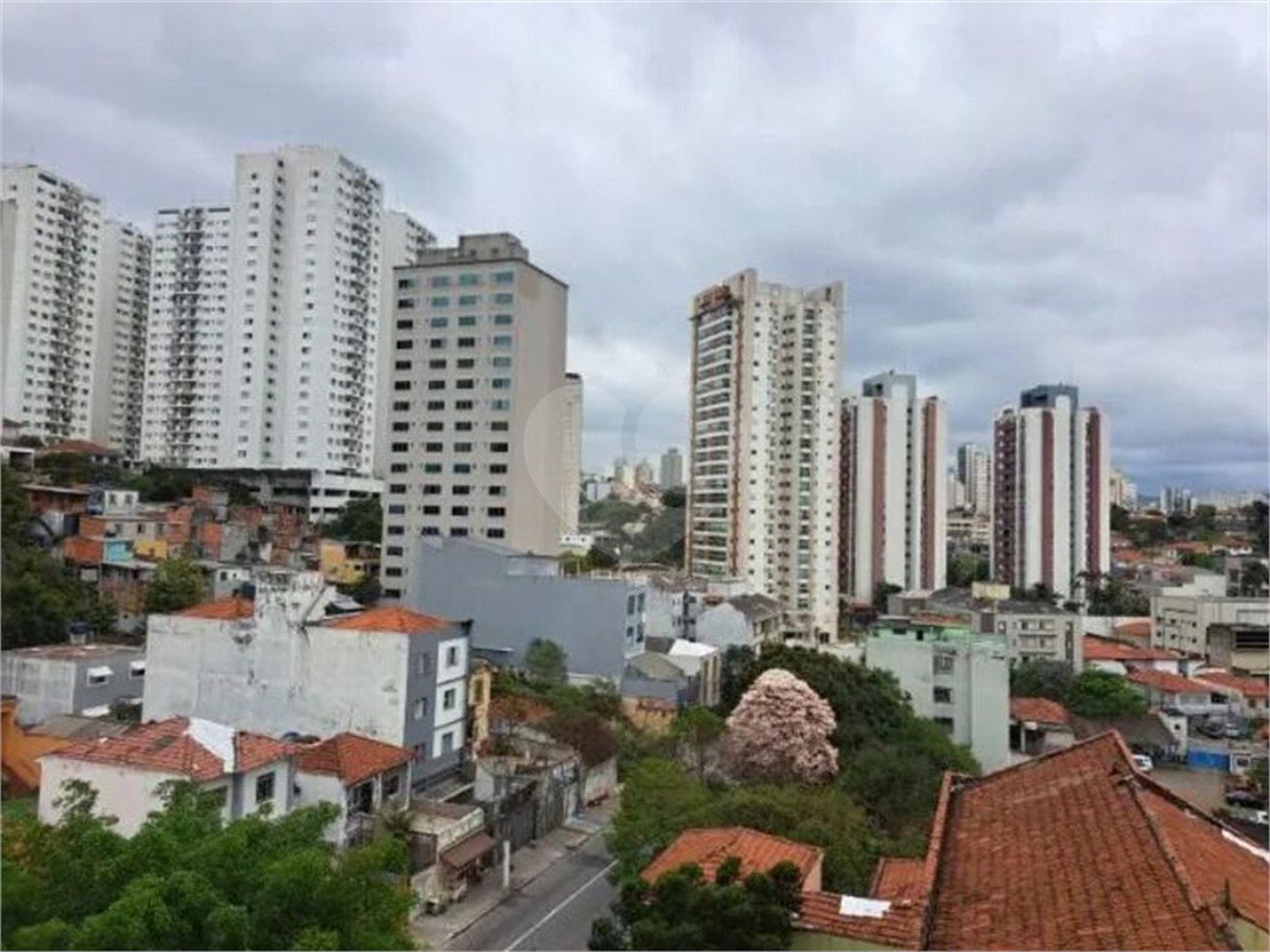 Apartamento à venda com 1 quarto em Santana, São Paulo, SP
