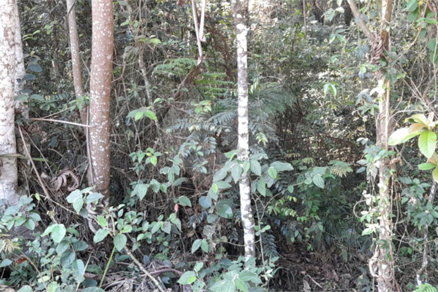 Terreno à venda em Roseira, Mairiporã, SP
