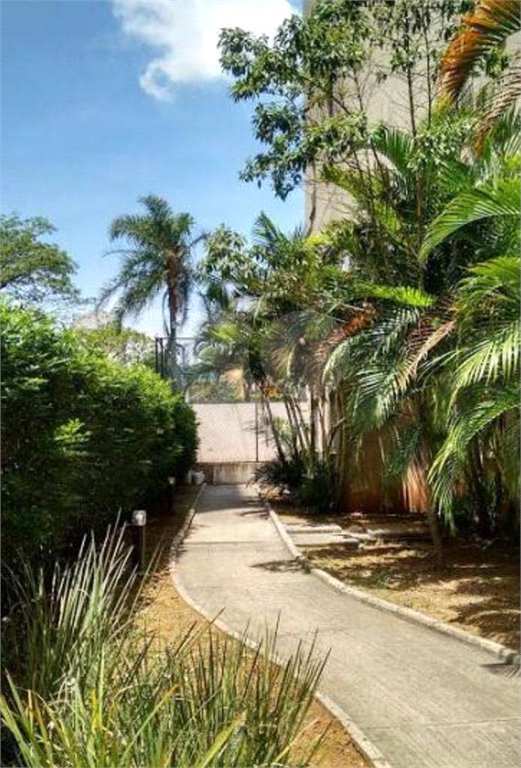 Apartamento à venda com 2 quartos em Bom Retiro, São Paulo, SP