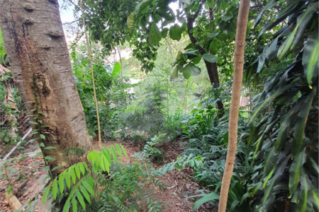Loteamento à venda em Jardim Amália, São Paulo, SP