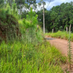 Terreno à venda em Terra Preta (terra Preta), Mairiporã, SP