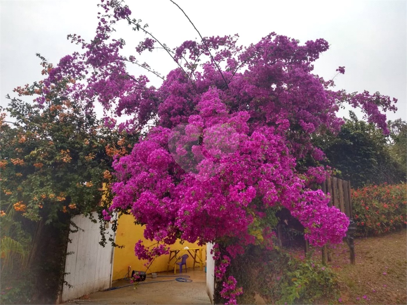 Chácara à venda com 5 quartos, sendo 1 suíte, em Vitória Régia, Atibaia, SP
