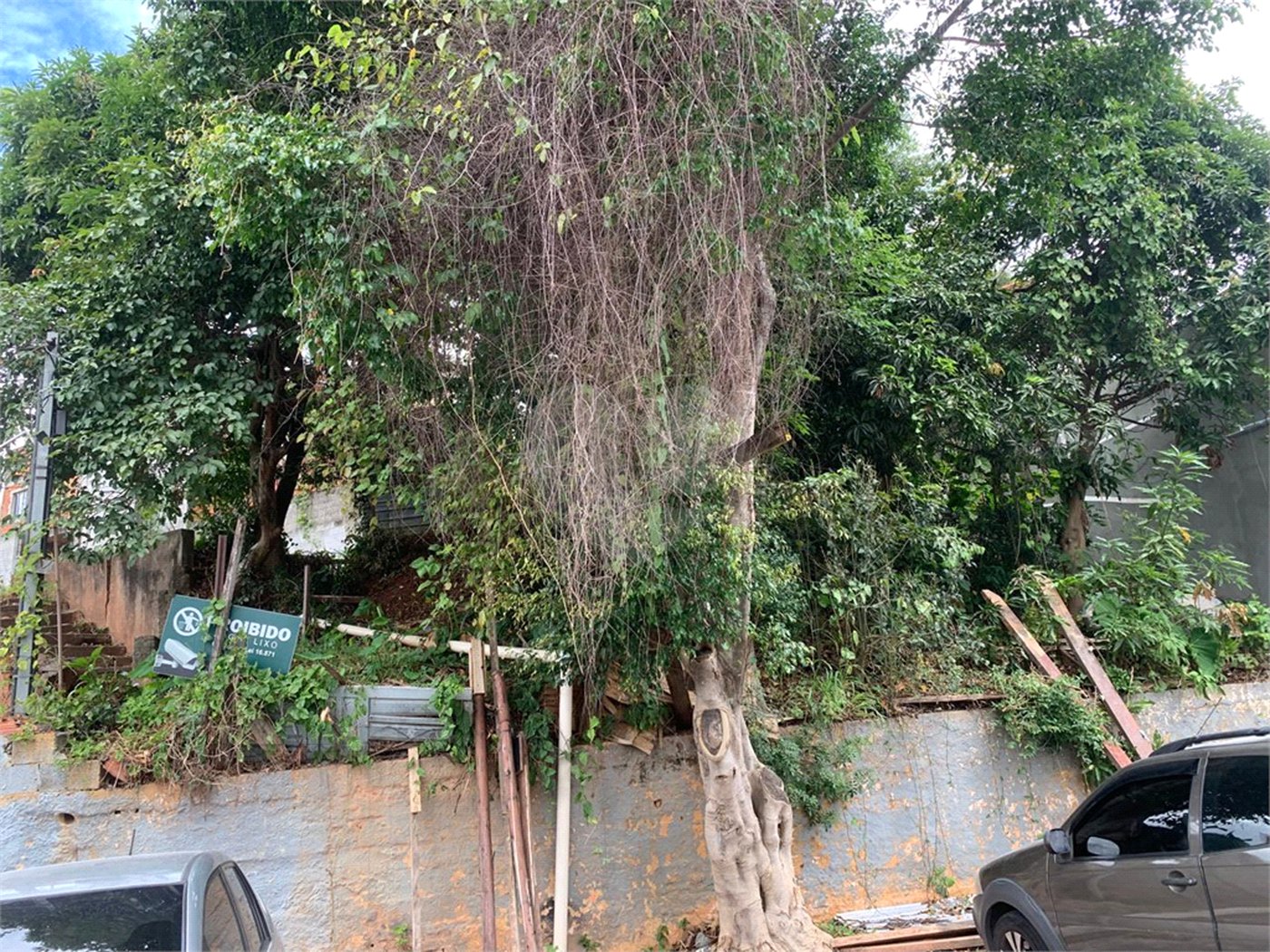 Terreno à venda em Lauzane Paulista, São Paulo, SP