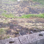 Terreno à venda em Vila Oliveira, Mogi das Cruzes, SP