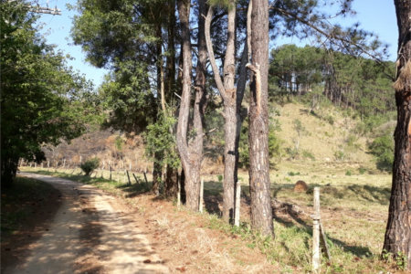 Sítio à venda com 3 quartos em Bairro do Cambará, São Roque, SP
