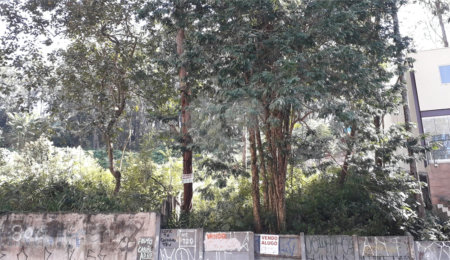 Terreno à venda ou para alugar em Vila Andrade, São Paulo, SP